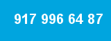 917 996 64 87 917 996 64 87